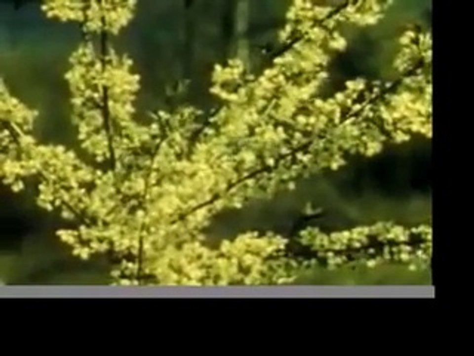 "Om Mani Padme Hum" - Buddhist Meditation Video