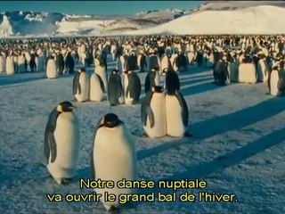 La Marche de l'empereur : The frozen world (Émilie Simon)