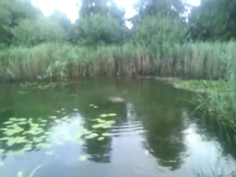 zwemmen in de zeilberg