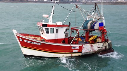 Fête de la coquille