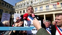 La manifestation des maires ruraux à Paris avec Alexandre Jardin.