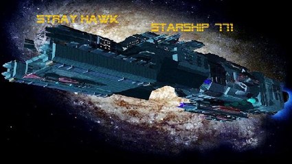 STRAY HAWK . STARSHIP 771