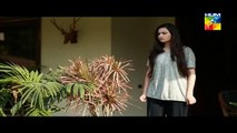 Dil Ka Kya Rung Karun Episode 8 Full HUM TV Drama April 18, 2015