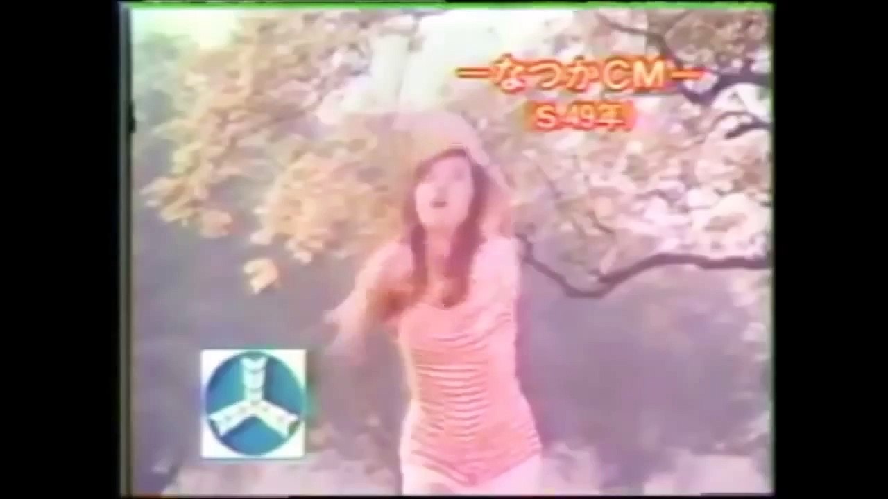 蘇る金狼で松田優作さんと共演した風吹ジュンさんの懐かしいCM集