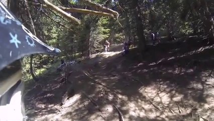 Descente en VTT + Tronc d'arbre = Accident spectaculaire