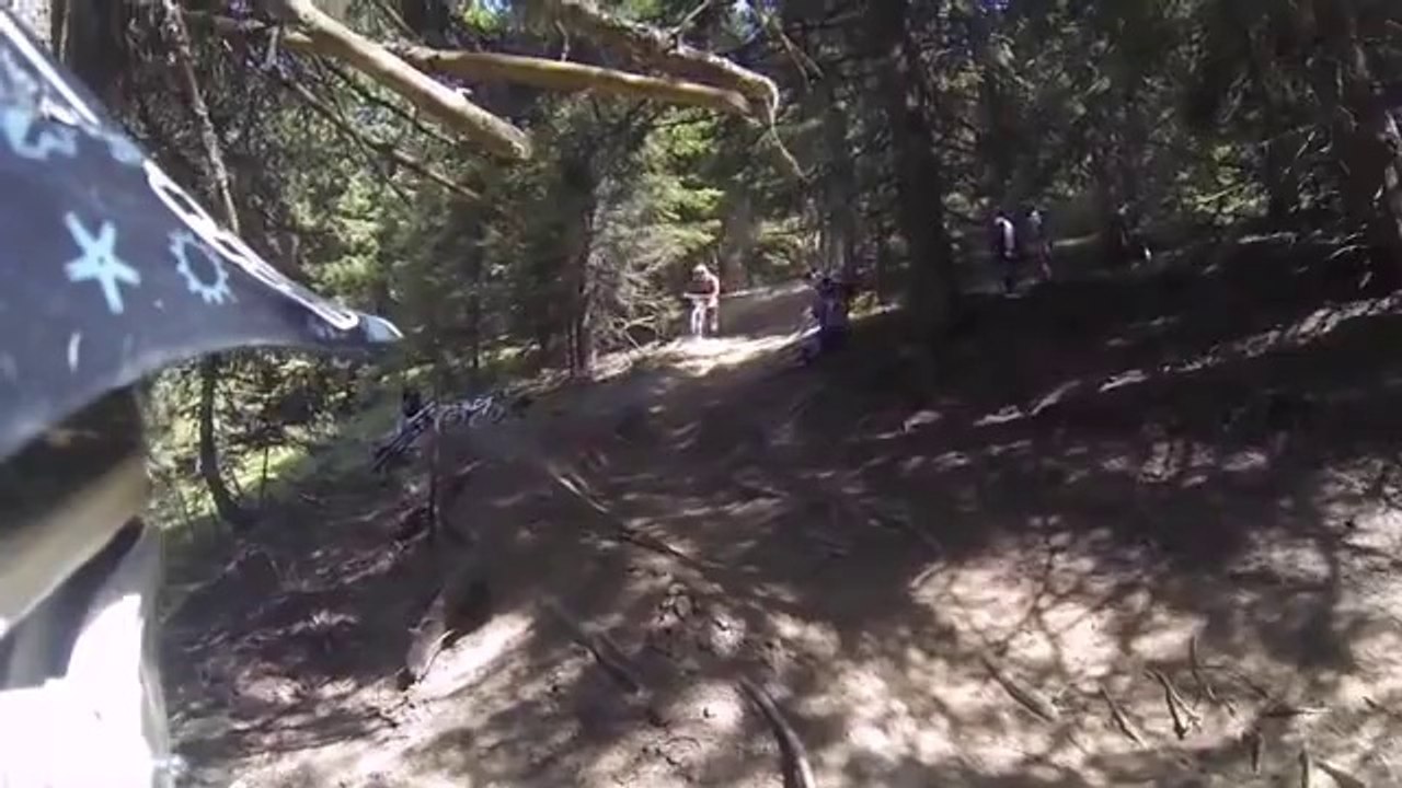 Descente en VTT + Tronc d'arbre = Accident spectaculaire