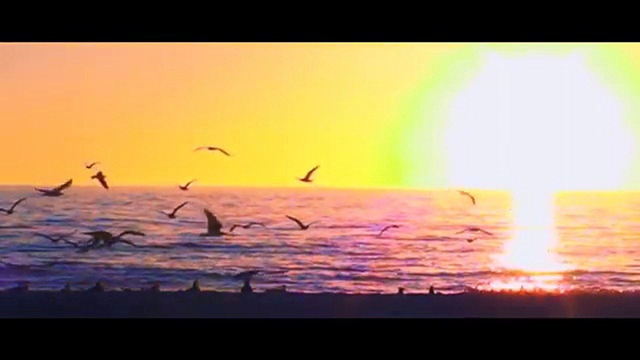 videoplayback - красивые виды