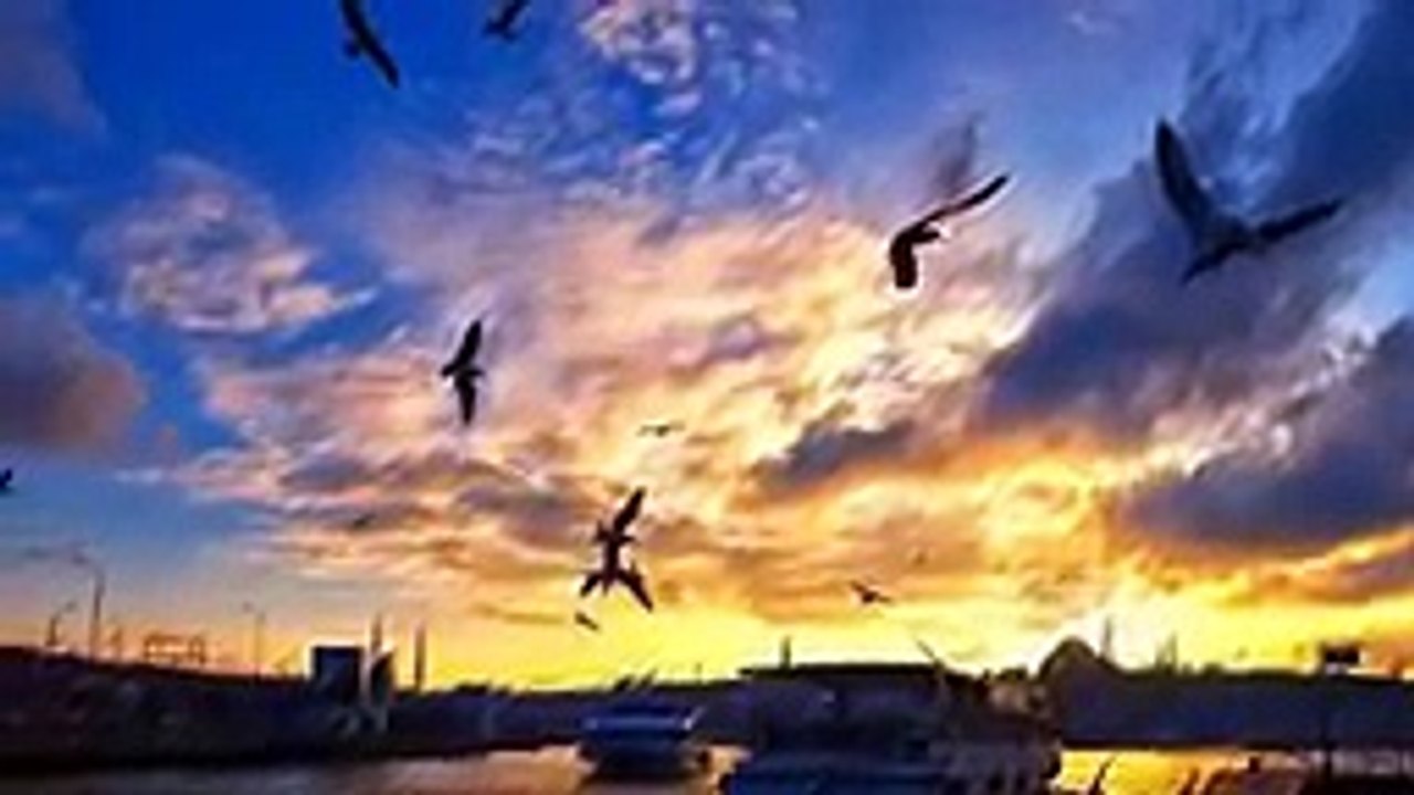 Gesi Bağları _ Ney&Tanbur&Klasik Gitar