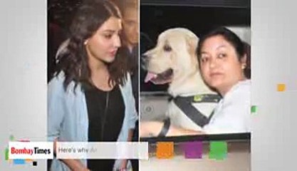 Here's Why Anushka Sharma is Travelling to Beijing.3gp