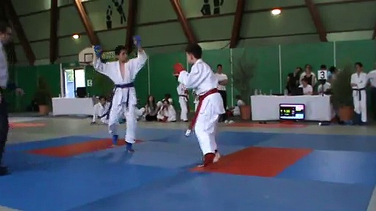 Jujitsu Rollin Philippe.
