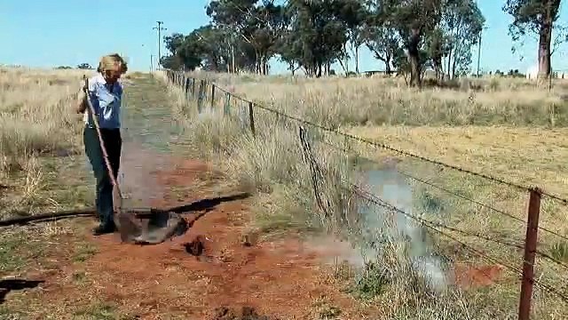 Fumigation with phostoxin for rabbit control