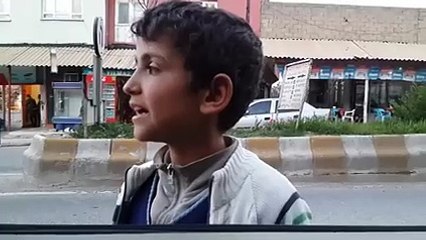 sinekler arabaya ... yapıyor abla