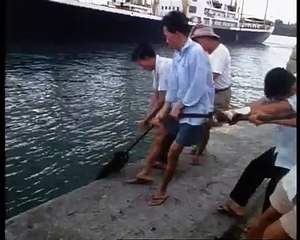 Old Singapore harbour 1960