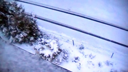 Otto Waalkes - Kein Sunshine (Cover)