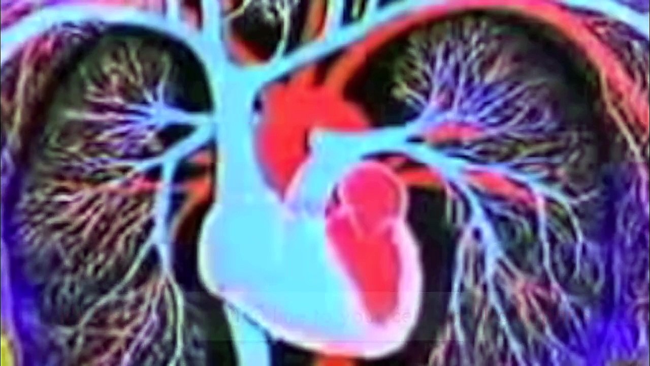 So Many Systems Human Body Systems Rap video Dailymotion