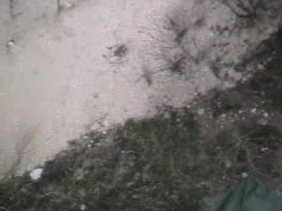 Saut à l'elastique dav 18.03.07