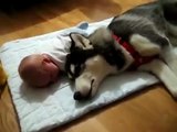 Dog sings while the baby cries