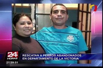 Rescatan a perros abandonados en departamento de La Victoria