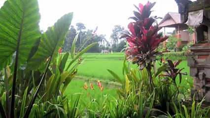 Bali Visit - Welcome to My Paradise