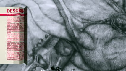 After Effects Project Files - Paravent Lower Third - VideoHive 8960388