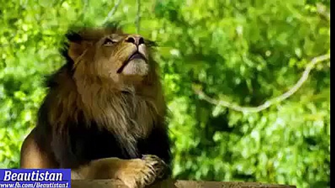 beautiful video must share to your dear one.