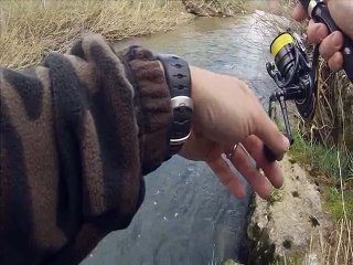 Pêches au micro jig