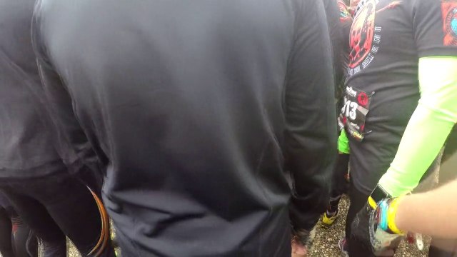 Spartan Sprint Race 2015.04.18. Hungaroring