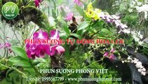 He-thong-phun-suong-hoa-lan-tu-dong