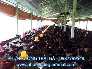 Lap dat phun suong cho trai ga tai Binh phuoc