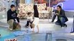 Worlds Strongest Boy Smashes Record With Incredible Series of Air Push-Ups