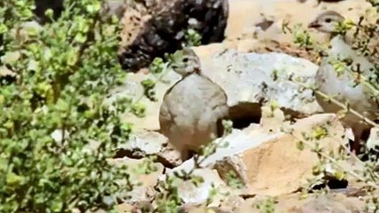 ALLAH THE MIGHTY - INSPIRING VIDEO EVER - - Video Dailymotion