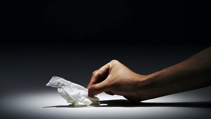 Amazing tissue paper stop motion animals