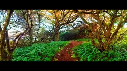 PHOTOGRAPHY MASTERCLASS EBOOK