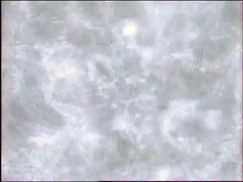 staroetv.su / Новогодняя рекламная заставка (REN-TV, 2003-2004)