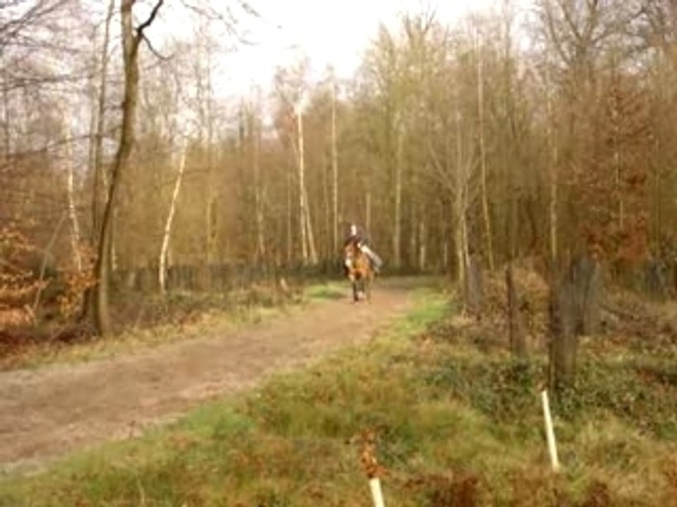 Balade 21.2.2007 => Galop allongé Nev