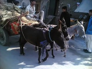 -khoti rehri punjabi funny poem