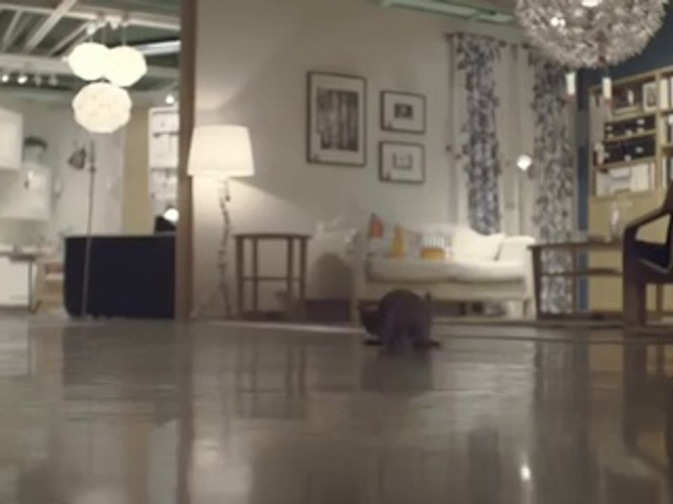 Happy Inside - IKEA cats advert