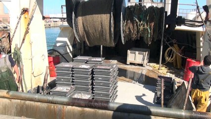 Port la Nouvelle " les chalutiers " 14 Avril 2015