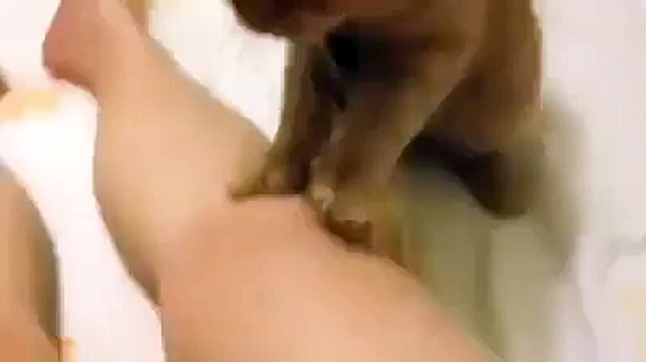 masör kedi