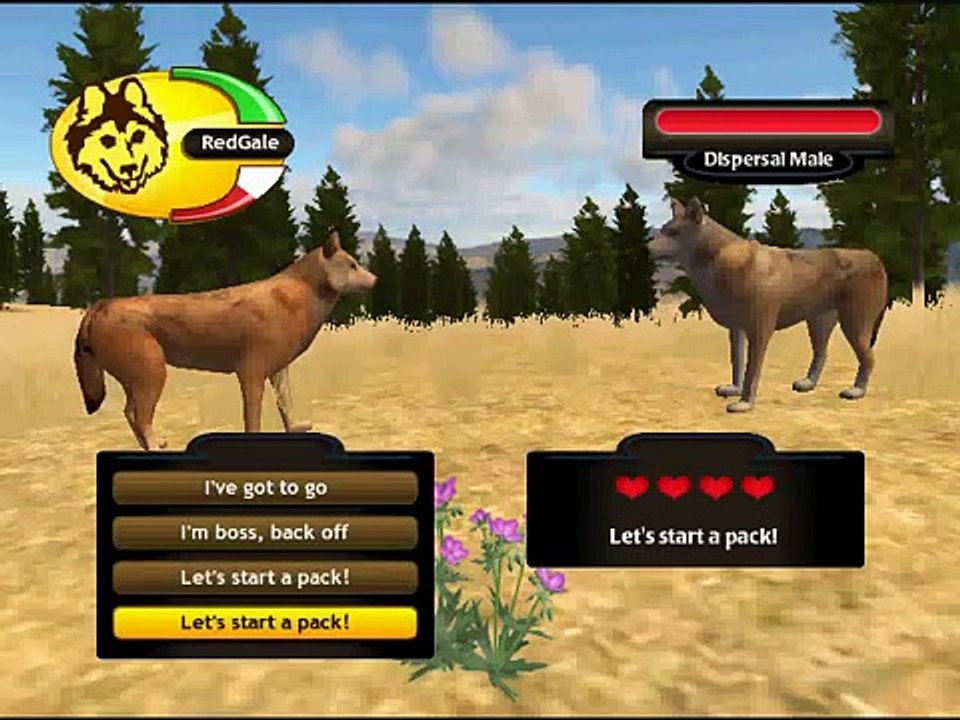 WOLF QUEST: Getting a Mate