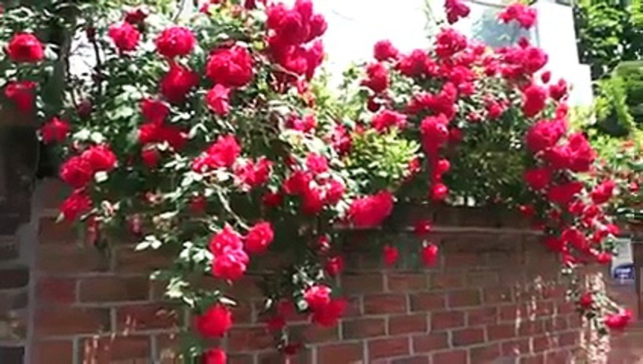 HẬU TRƯỜNG PHIM TUỔI THANH XUÂN - SỐ 1- NHỮNG NGÀY ĐẦU CASTING