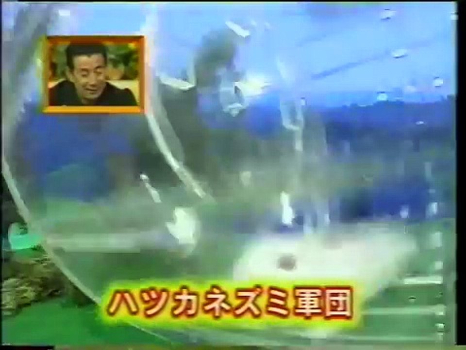 ハムスターVSネズミ軍団