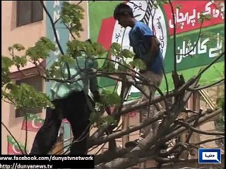 Dunya News - Karachi: Trees cut off for PTI tsunami