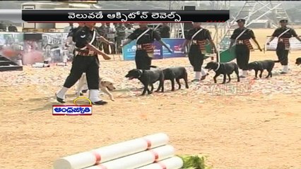 Why Are Dogs Called a Man's Best Friend;