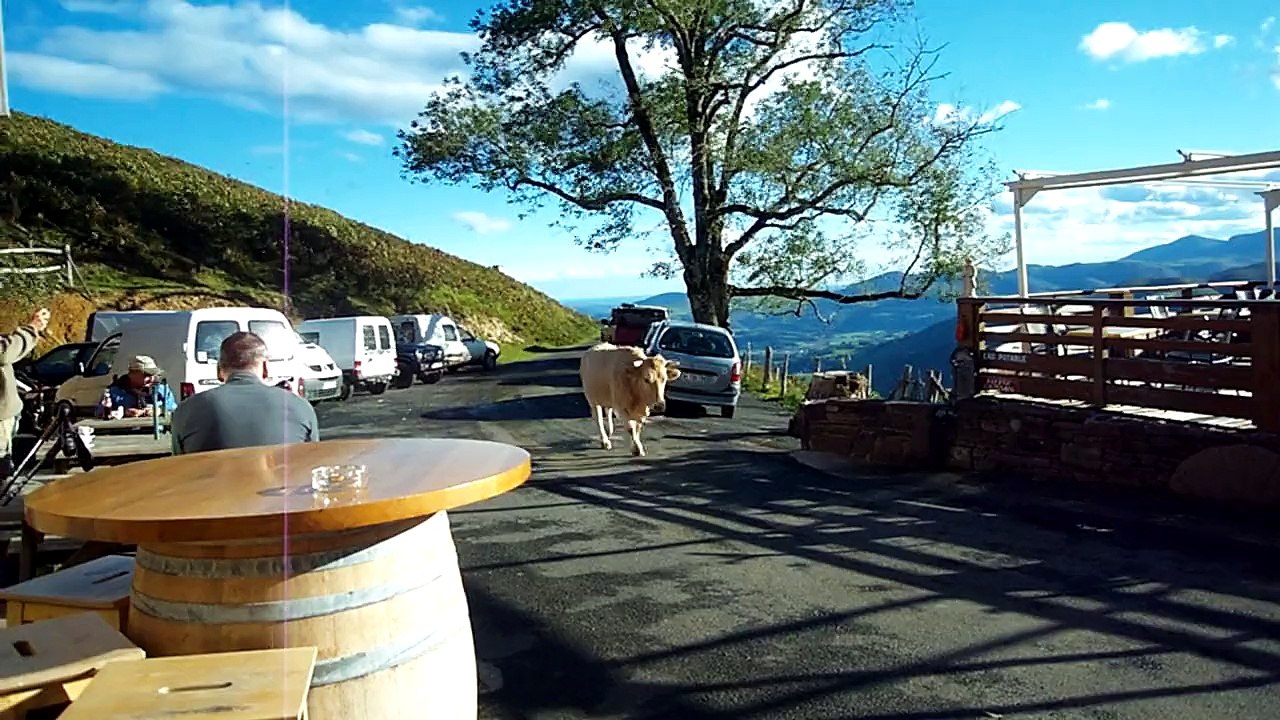 Sur le chemin de compostelle insolite