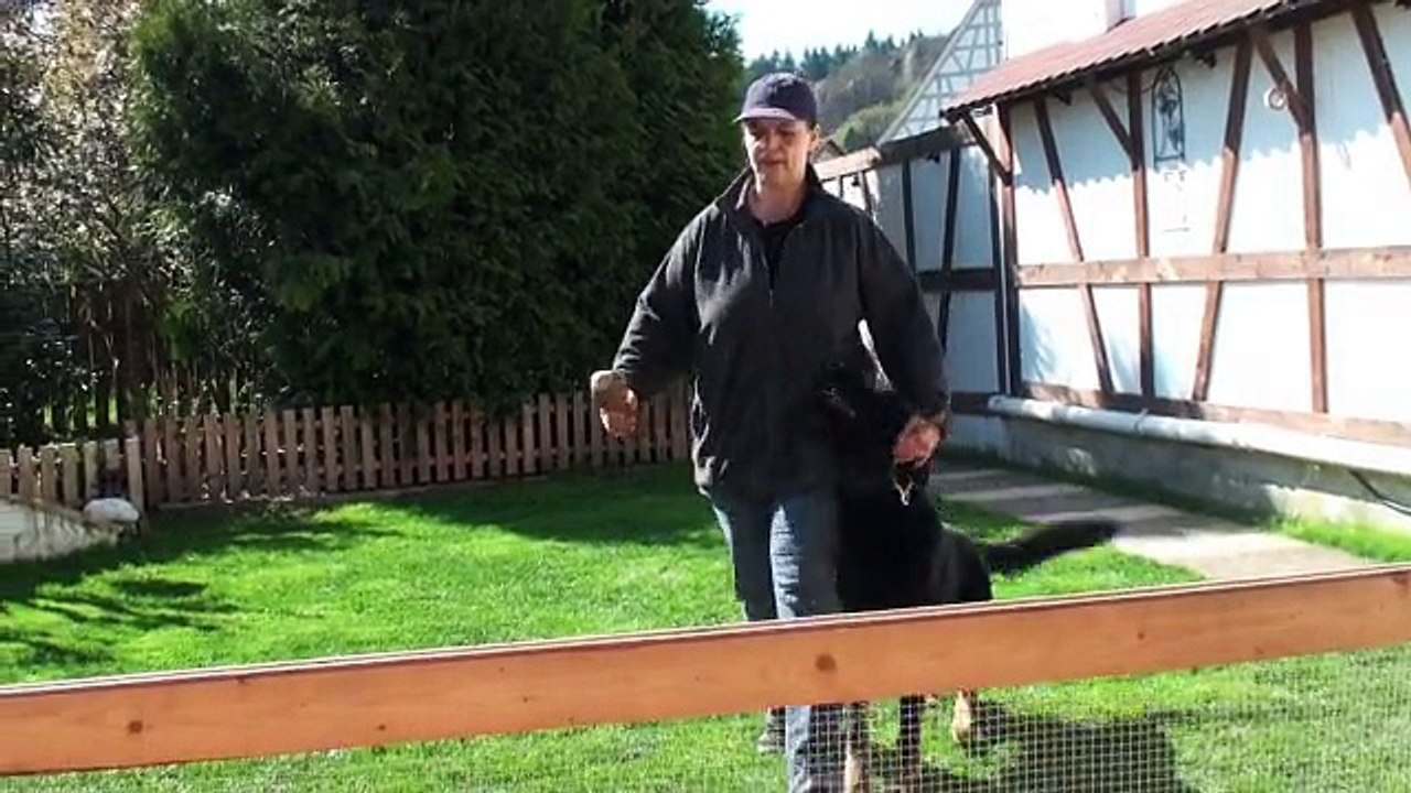 Conner 11 Monate :: Apport Hürde