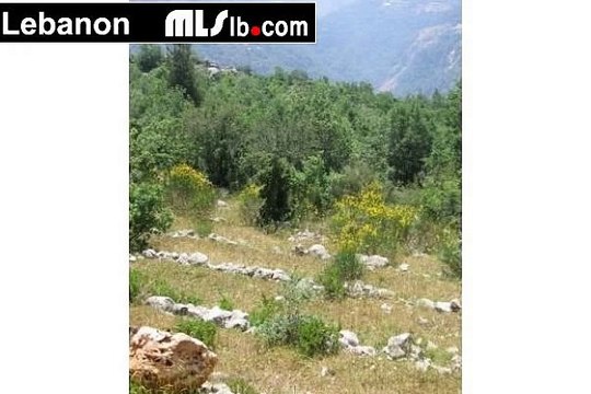 Land for sale in Ballouneh Kesrouane 1260 m2