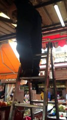 ינעל העולם - התקנת מצלמות אבטחה בשוק הכרמל