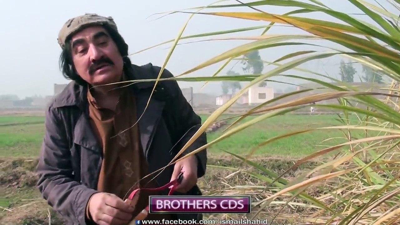 Ismail Shahid Pashto New Drama Shal De Rana Na Ka 2015 - video Dailymotion