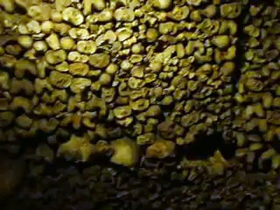 Catacombs of Paris